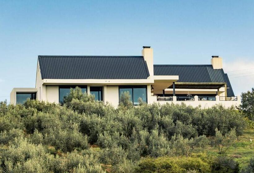 Дом 2 Спальни, Oudewerfskloof Olive Farm