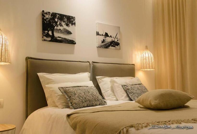 Quarto Estandar, Alfa