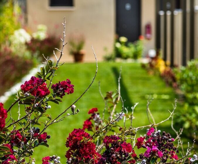 デラックススイート, Astir Notos