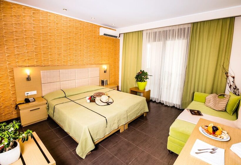 スタンダードトリプルルーム, Astir Notos