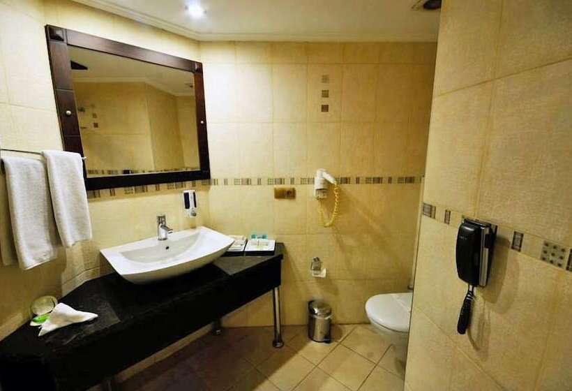 اتاق استاندارد یک نفره, Cukurova Park