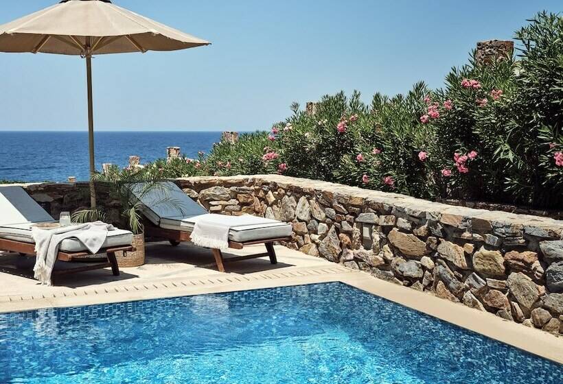Family Suite, The Royal Blue