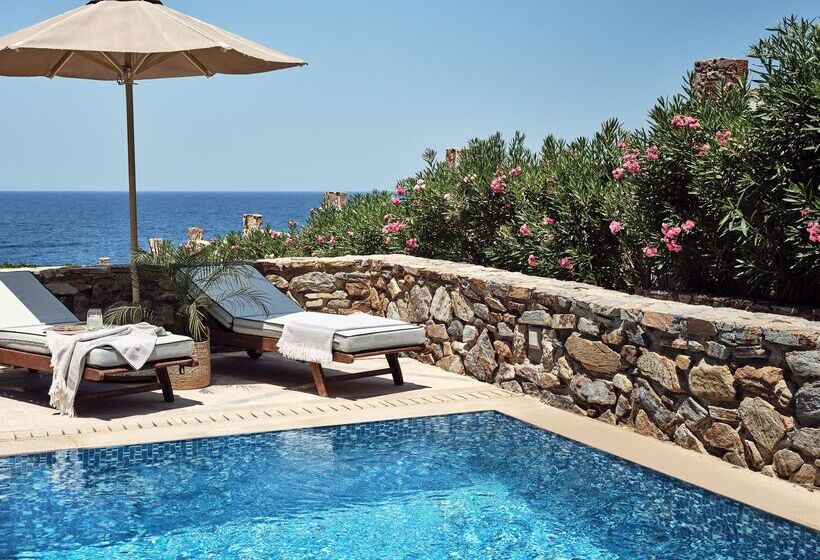 家庭套房, The Royal Blue