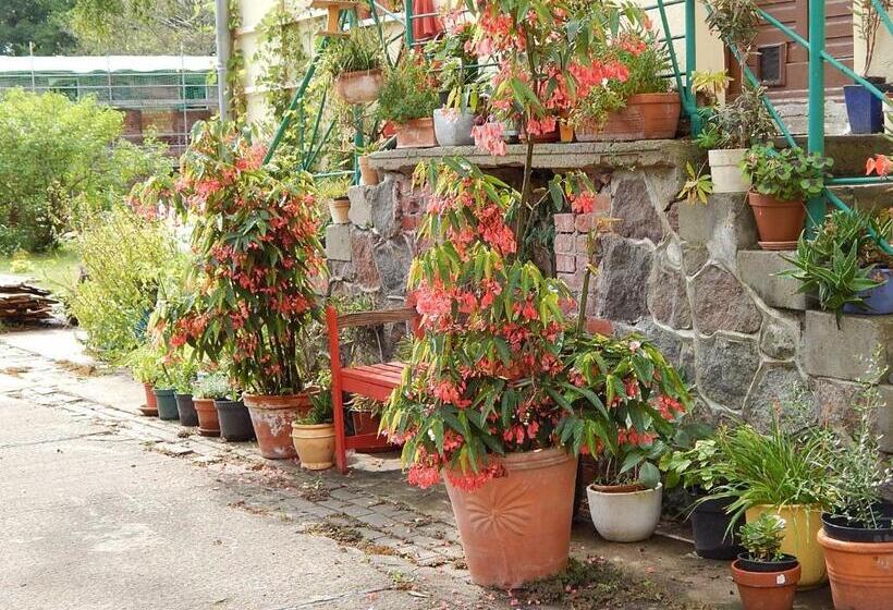 Номер Стандарт Совместная Ванная, Bed & Breakfast Mühle Himmelpfort