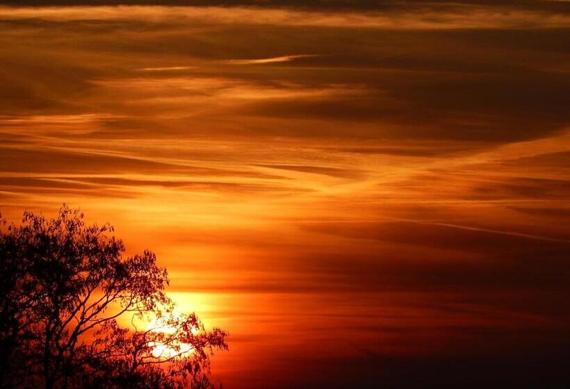 Номер Стандарт Совместная Ванная, Bed & Breakfast Mühle Himmelpfort