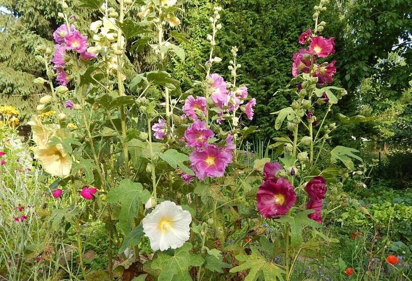 Номер Стандарт Совместная Ванная, Bed & Breakfast Mühle Himmelpfort