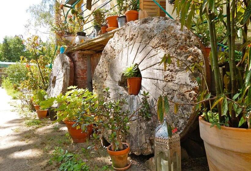 Номер Стандарт Совместная Ванная, Bed & Breakfast Mühle Himmelpfort