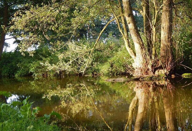 Номер Стандарт Совместная Ванная, Bed & Breakfast Mühle Himmelpfort