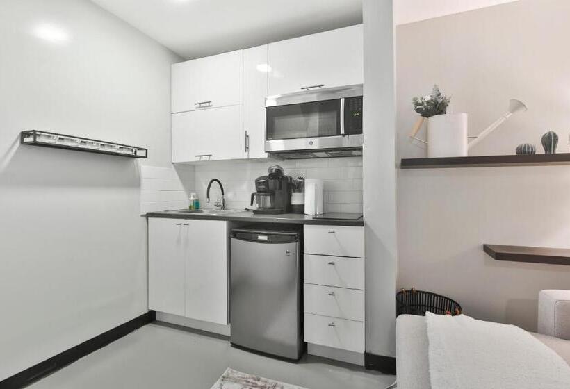 آپارتمان 2 خوابه, Parc Avenue Lofts
