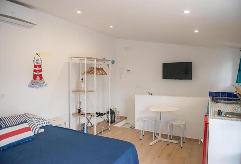 استودیو استاندارد با تراس, Belmar