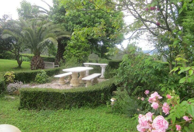 标准工作室带阳台, Infincavacations Chalet Y Apartamentos