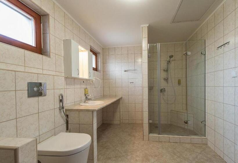חדר דלוקס, Penzion Leknín
