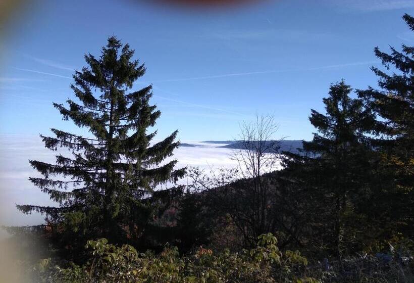 スタンダードルーム, Wohnungen Christopherhof Mj,grafenwiesen