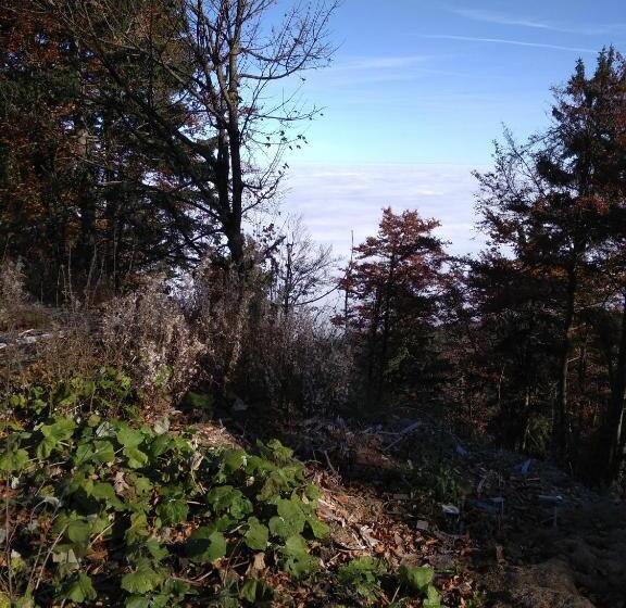 スタンダードルーム, Wohnungen Christopherhof Mj,grafenwiesen