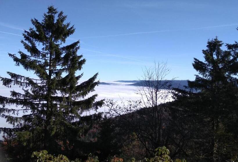 スタンダードルーム, Wohnungen Christopherhof Mj,grafenwiesen