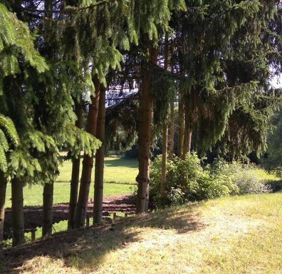 スタンダードルーム, Wohnungen Christopherhof Mj,grafenwiesen