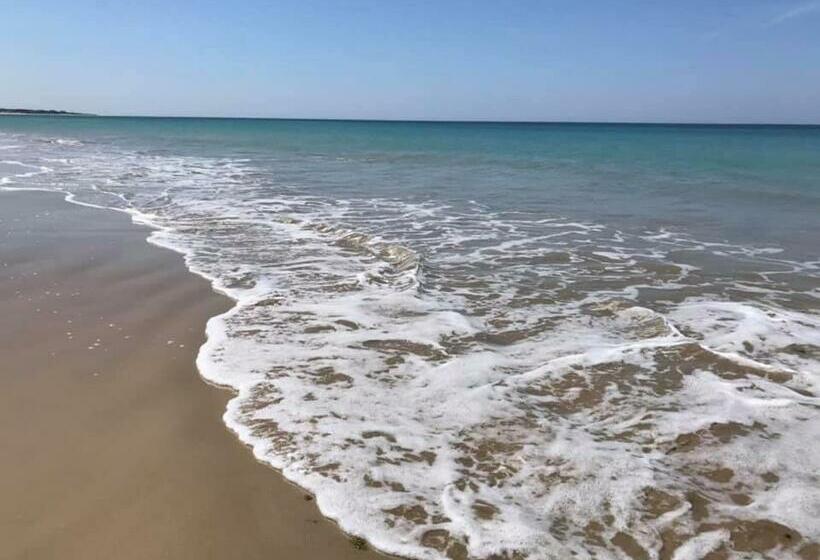 침실 1개 테라스 아파트, Clos Des Aigrettes, Gîtes à La Cotinière