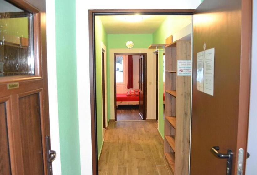 شقة غرفة نوم واحدة بالطابق الأرضى, Apartment Holiday Lungötz