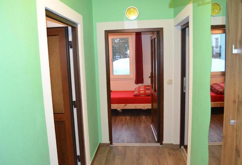 شقة غرفة نوم واحدة بالطابق الأرضى, Apartment Holiday Lungötz