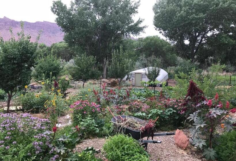 Deluxe Szoba, Red Moon Lodge