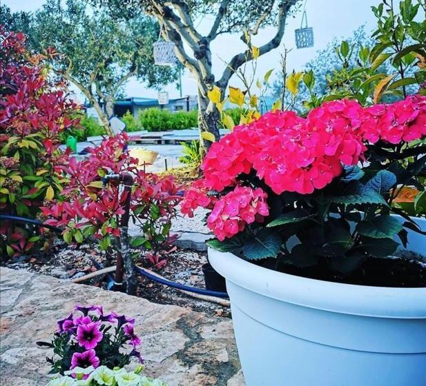 חדר סופריור, Trullo Suite