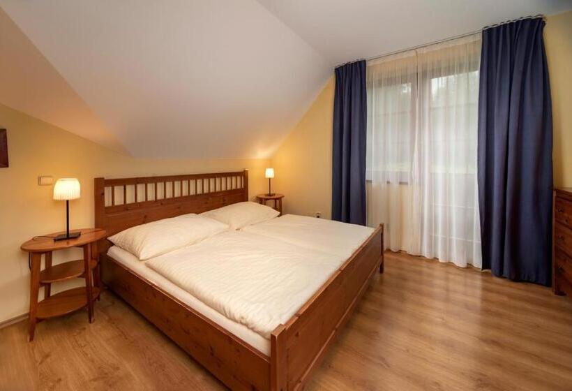 דירת שני חדרים, Pension Aspen