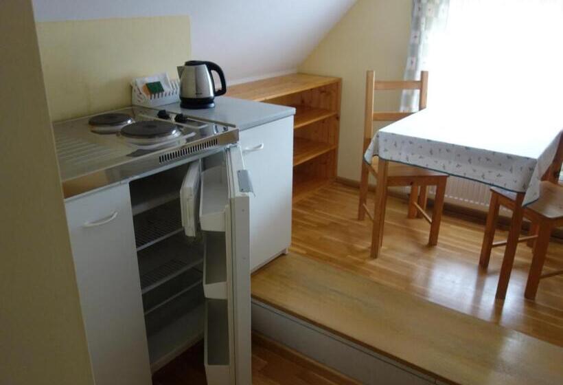 חדר סטודיו סטנדרד, Pension Aspen