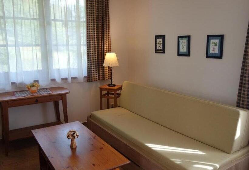 침실 1개 아파트, Pension Aspen