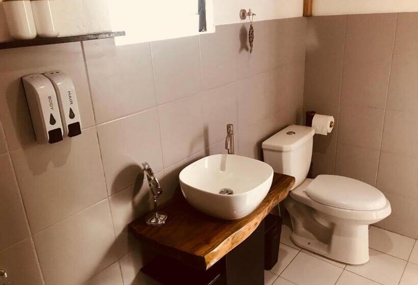 수피리어 룸, Everyday Sunday Formerly Carl S Island Inn