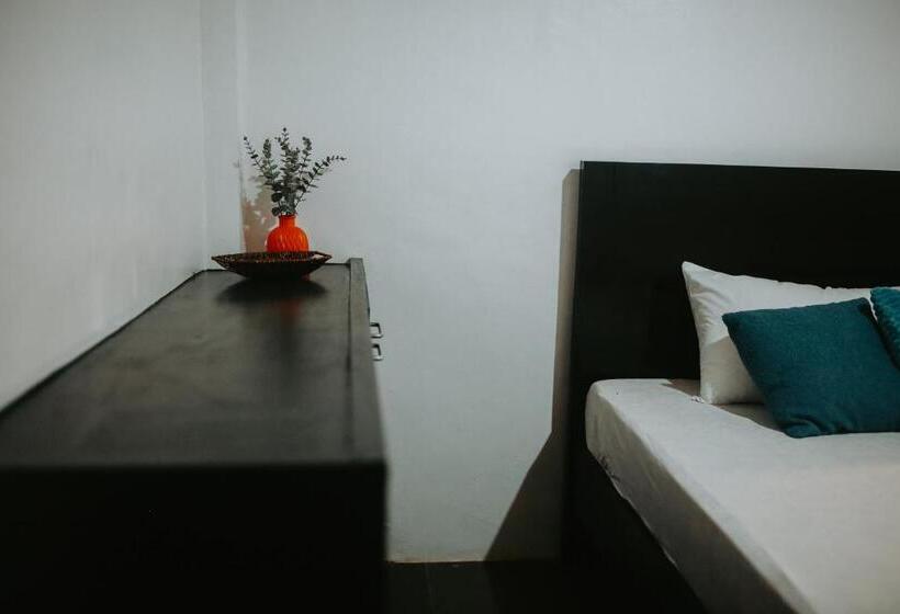 이코노미 룸, Everyday Sunday Formerly Carl S Island Inn