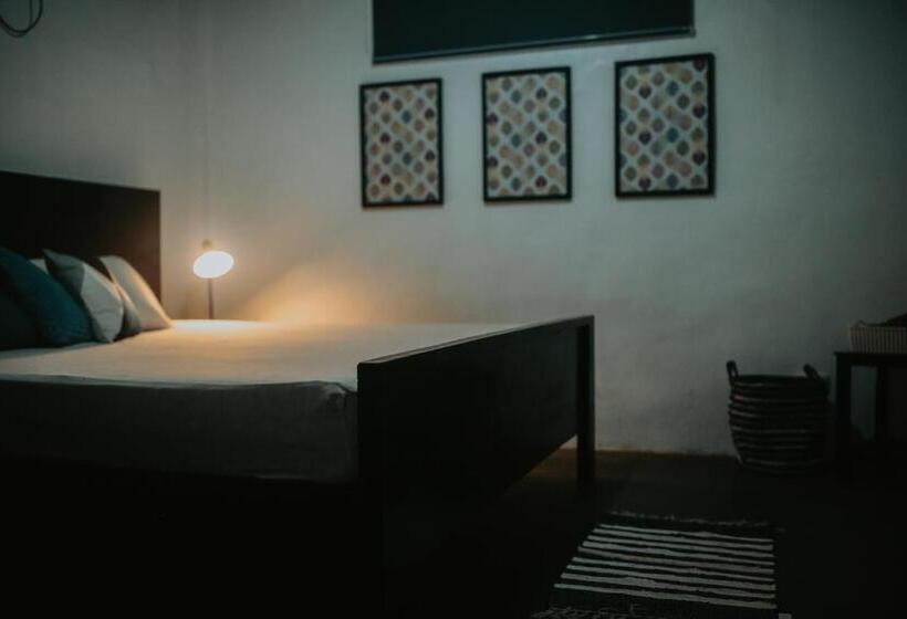 이코노미 룸, Everyday Sunday Formerly Carl S Island Inn