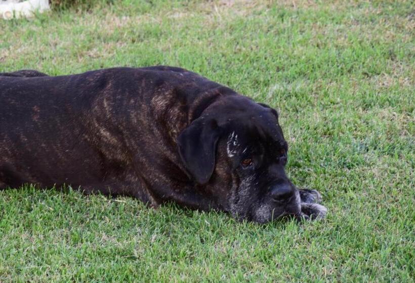 豪华房间, Tenuta I Tufari