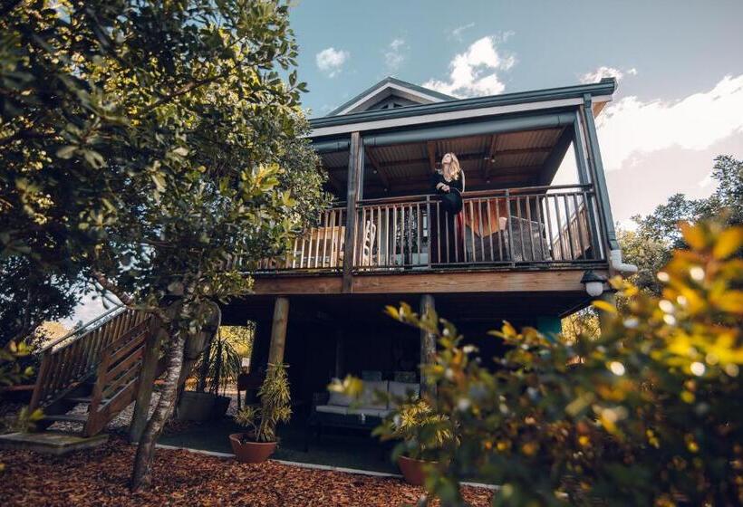 ویلای لوکس 1 خوابه, Treedom Villas And Vardos