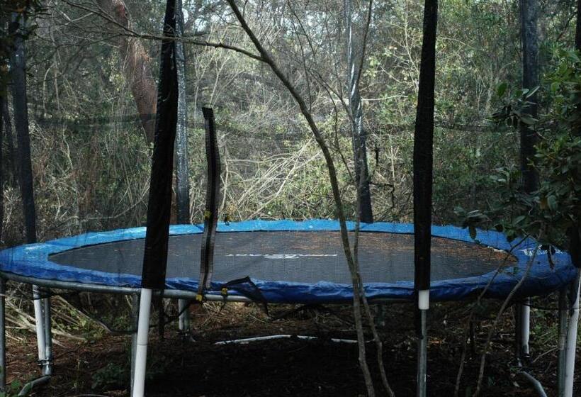 ویلای لوکس 1 خوابه, Treedom Villas And Vardos