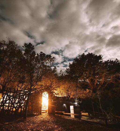 بانگلوی لوکس, Treedom Villas And Vardos