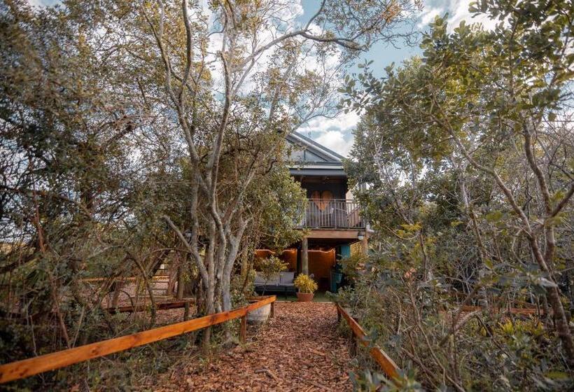 ویلای لوکس 1 خوابه, Treedom Villas And Vardos