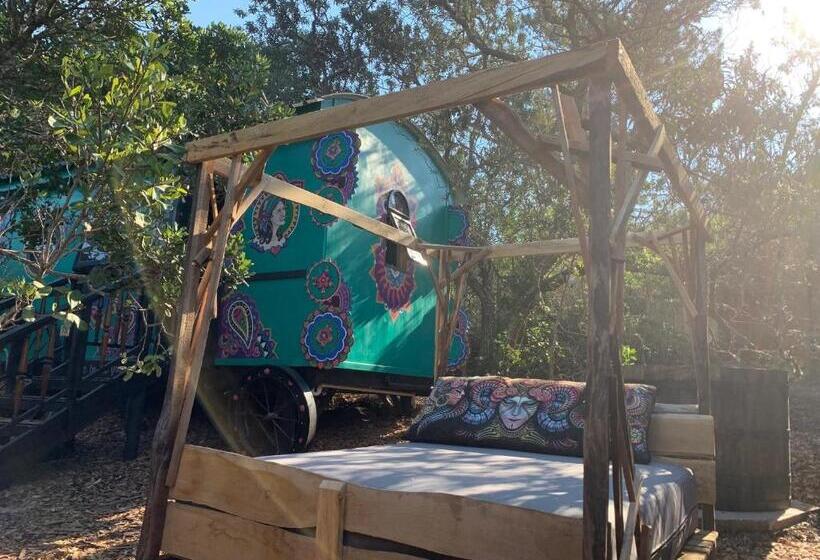 بانگلوی لوکس, Treedom Villas And Vardos