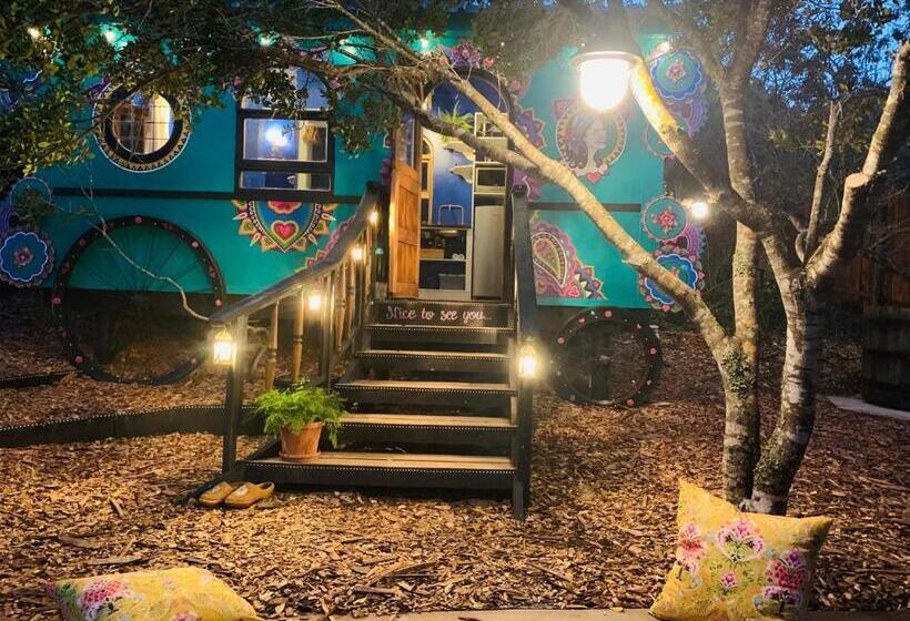 بانگلوی لوکس, Treedom Villas And Vardos