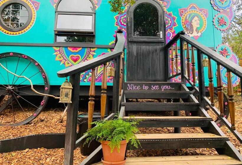 بانگلوی لوکس, Treedom Villas And Vardos