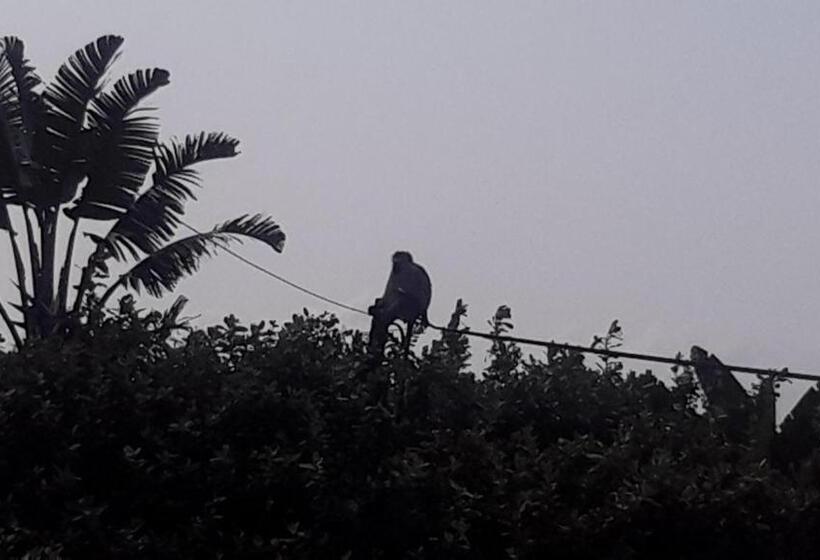 Люкс Вид на Море, Song Of The Whales