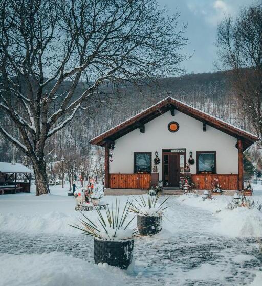 منزل غرفة نوم واحدة, Vén Diófa