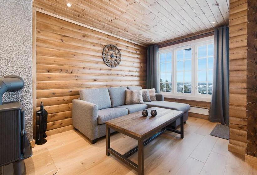 带2个卧室的公寓, Blefjell Lodge