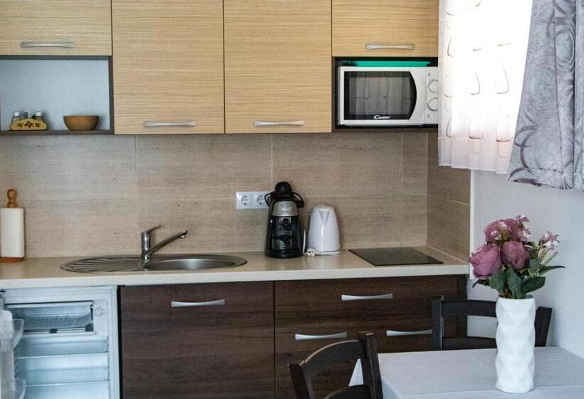 Апартаменты 1 Спальня, Casa Tofi Vendégház