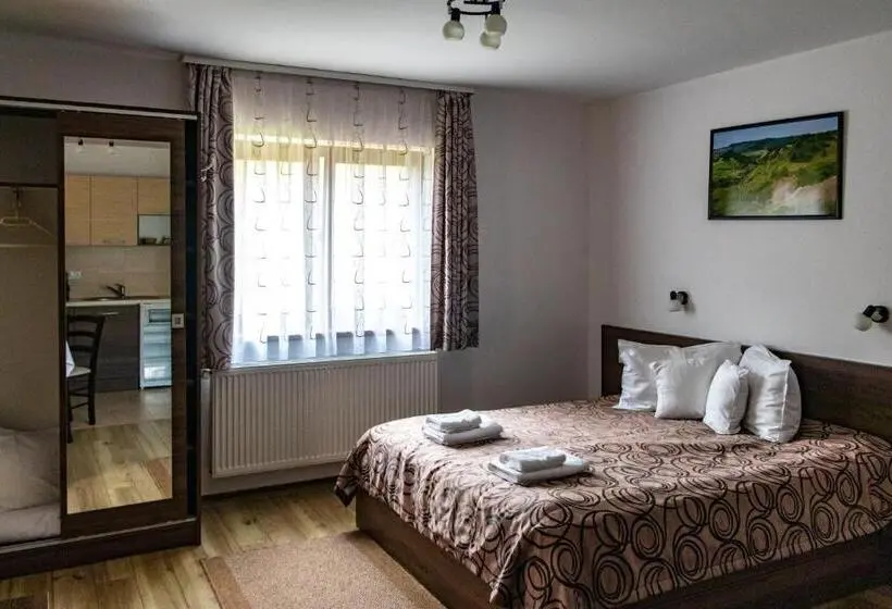 １ベッドルームアパートメント, Casa Tofi Vendégház