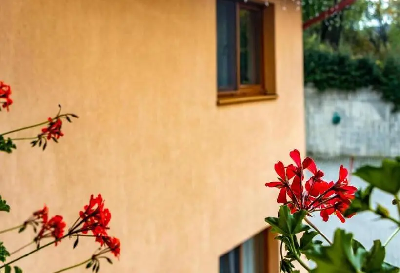 バルコニー付き１ベッドルームアパートメント, Casa Tofi Vendégház