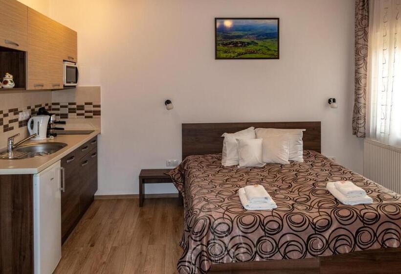 Апартаменты 1 Спальня с Балконом, Casa Tofi Vendégház