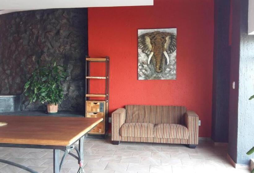 スーペリアースイート, Arek S Place