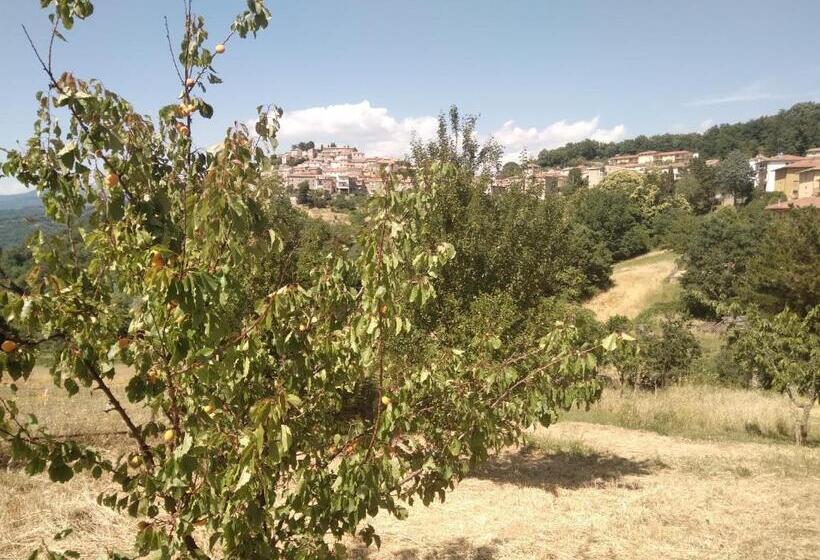 חדר סטנדרט, La Casa Delle Stelle Appartamento