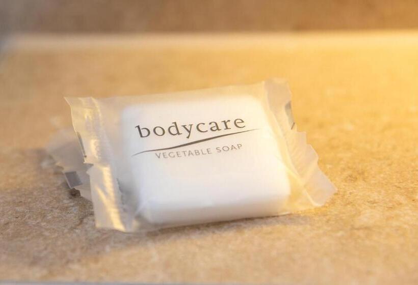 Estudio Estàndard, Zurich Furnished Homes