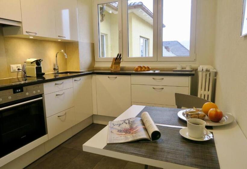 Apartament 1 Dormitori amb Balcó, Zurich Furnished Homes
